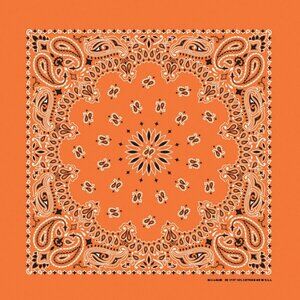 USA Made 100% Cotton Paisley Bandanas 22"X22" Orange Adults, Kids, Dogs, Crafts